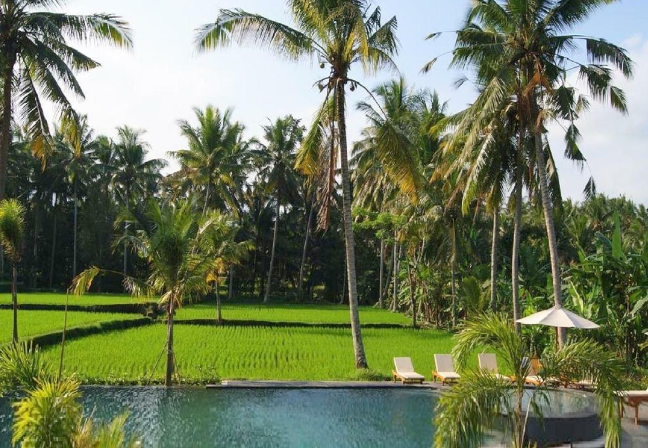 Bhanuswari Villas Ubud Buitenkant foto